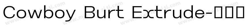Cowboy Burt Extrude字体转换